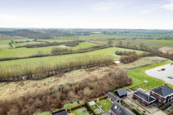 Foto 40 van Sleutelbloem 18