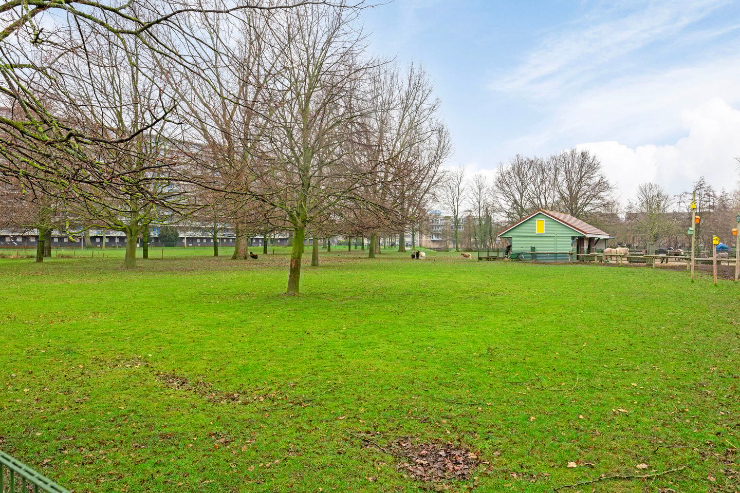 Foto 29 van J. Sasboutstraat 2