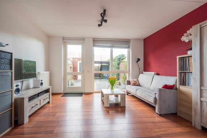 Foto 2 van Tijgervlinder 4