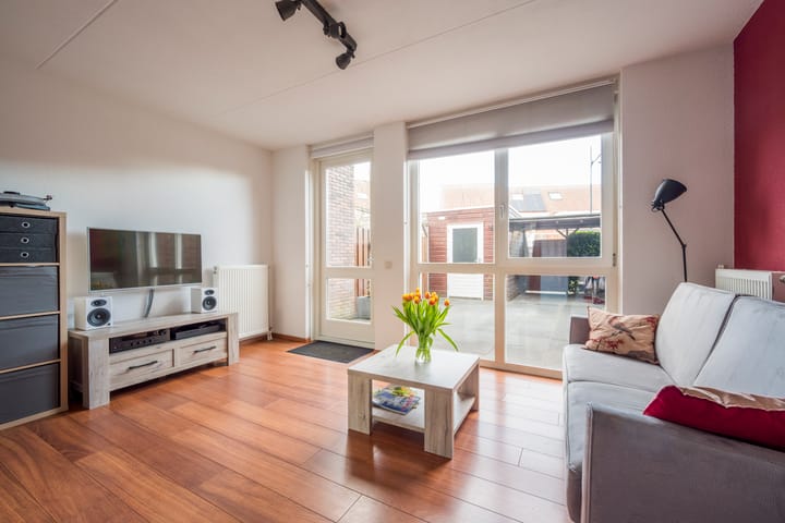 Foto 3 van Tijgervlinder 4