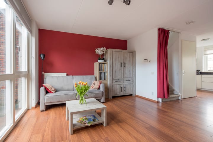 Foto 4 van Tijgervlinder 4