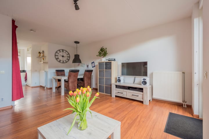 Foto 5 van Tijgervlinder 4