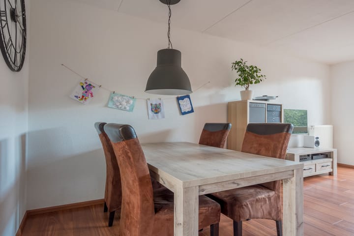 Foto 7 van Tijgervlinder 4