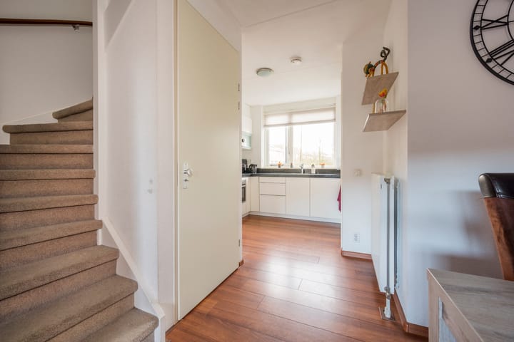 Foto 8 van Tijgervlinder 4