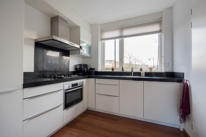 Foto 9 van Tijgervlinder 4