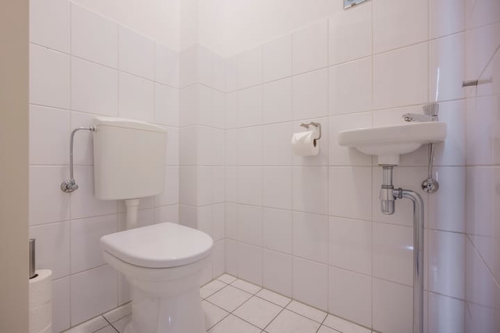 Foto 13 van Tijgervlinder 4