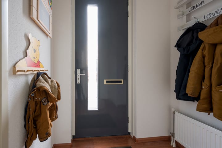 Foto 14 van Tijgervlinder 4