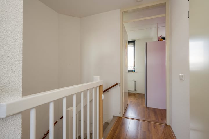 Foto 16 van Tijgervlinder 4