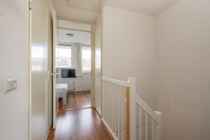 Foto 15 van Tijgervlinder 4