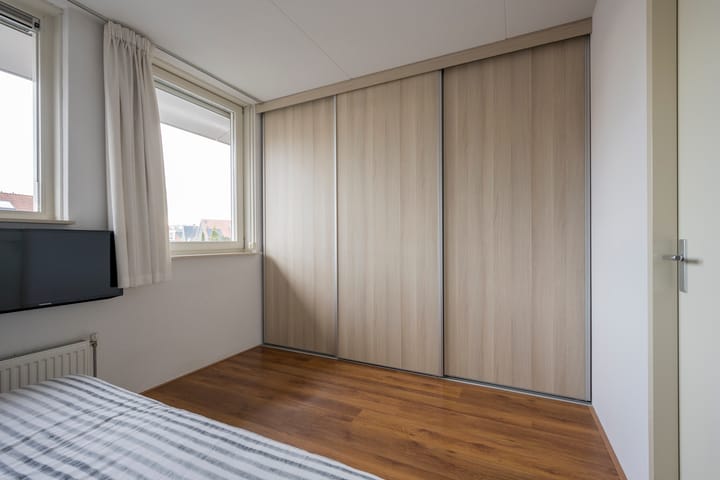 Foto 17 van Tijgervlinder 4