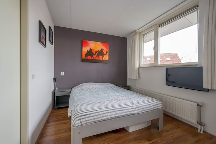 Foto 18 van Tijgervlinder 4