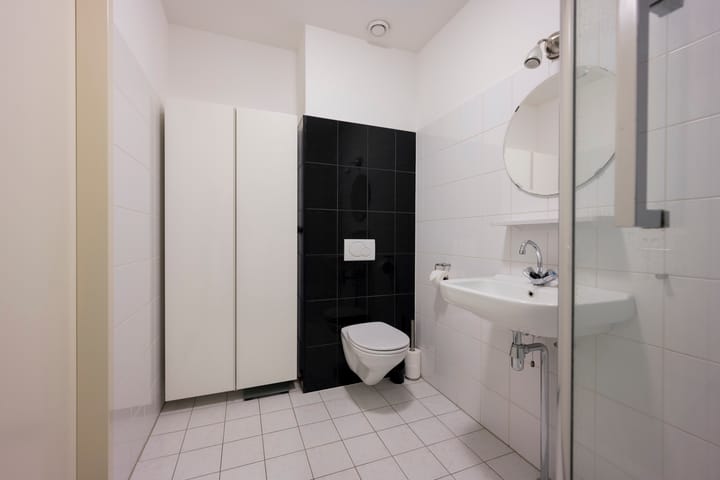 Foto 24 van Tijgervlinder 4