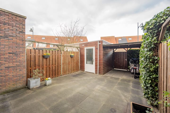 Foto 25 van Tijgervlinder 4