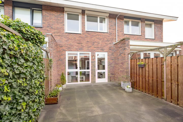 Foto 27 van Tijgervlinder 4