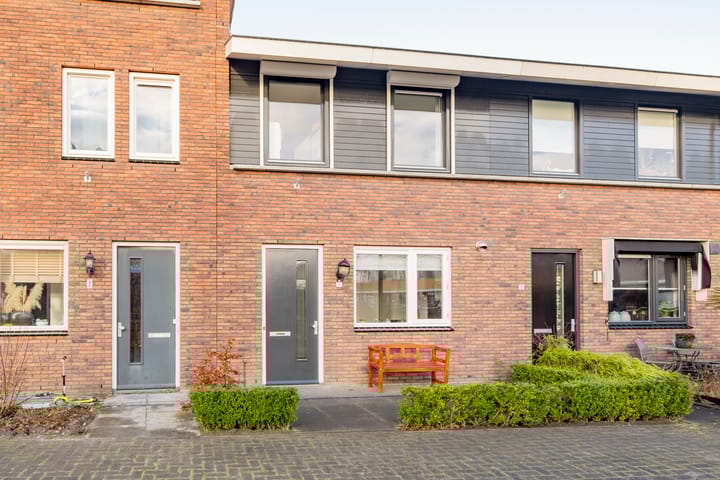 Foto 29 van Tijgervlinder 4