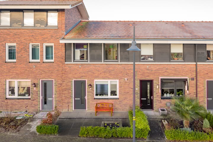 Foto 30 van Tijgervlinder 4