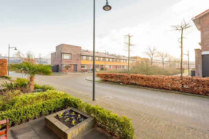 Foto 31 van Tijgervlinder 4