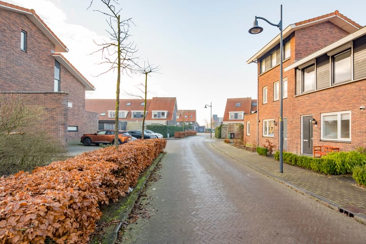 Foto 32 van Tijgervlinder 4