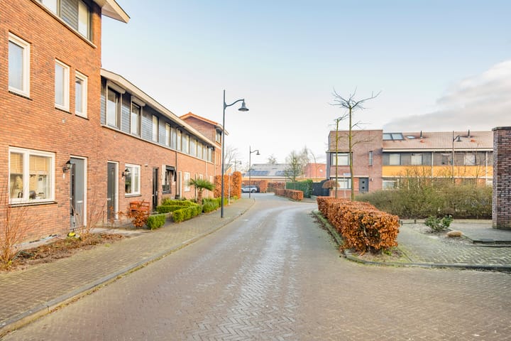 Foto 33 van Tijgervlinder 4