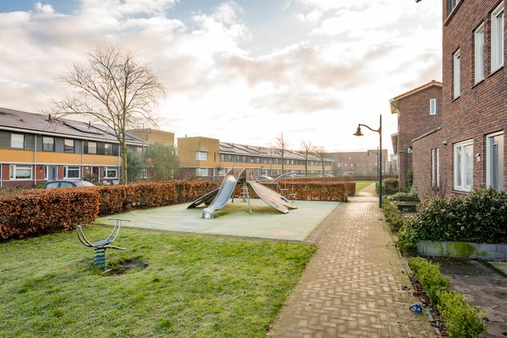 Foto 34 van Tijgervlinder 4