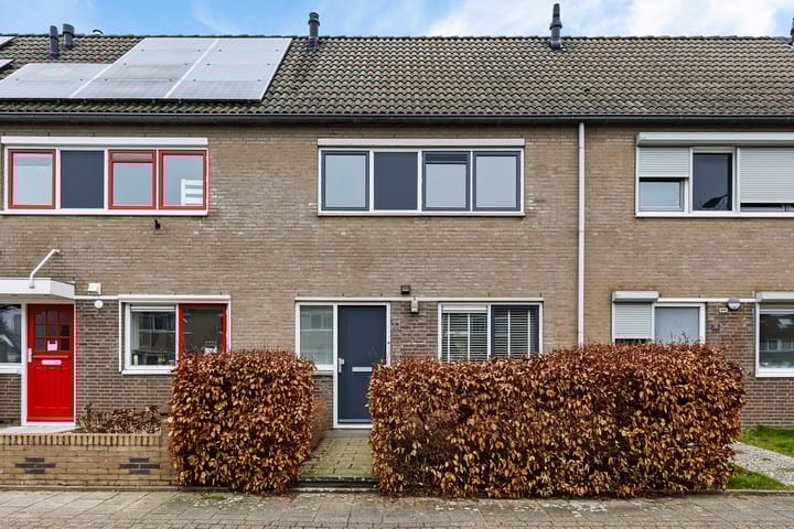 Foto 1 van Kopstuk 11