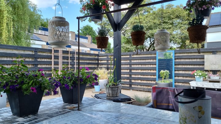 Foto 44 van Noorderenk 42