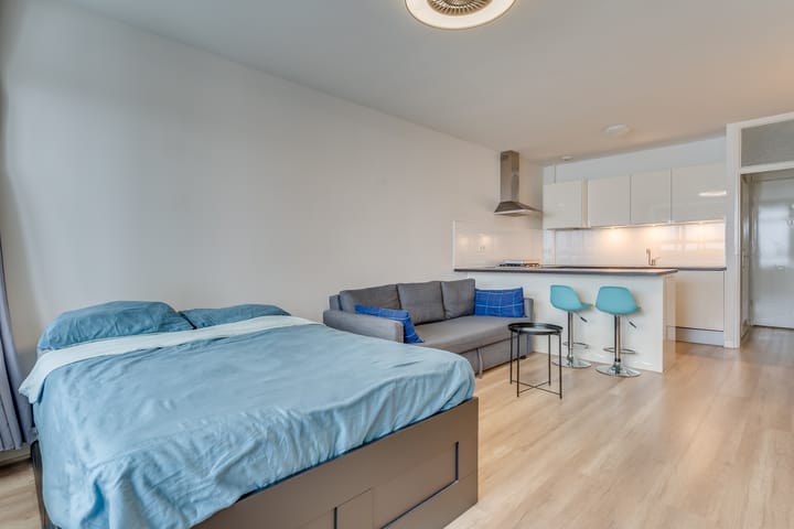 Foto 13 van Laan van Vollenhove 718