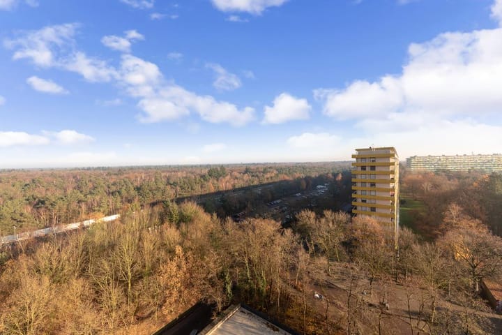 Foto 24 van Laan van Vollenhove 718