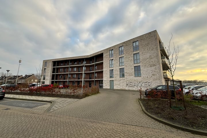 Ierse heide 35