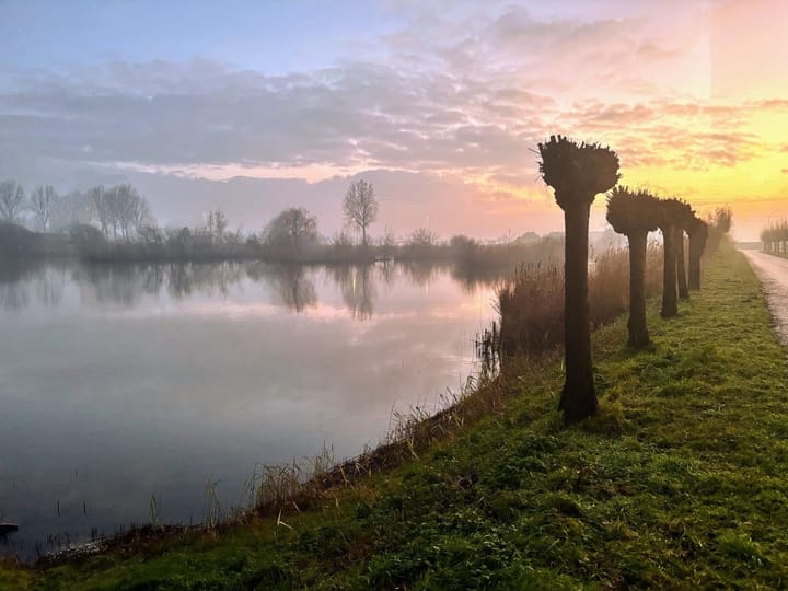 Foto 3 van Wuyvenhaerd 50