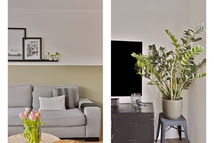 Foto 14 van Drontermeer 124