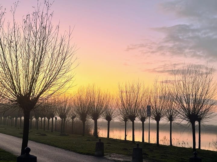 Foto 41 van Wuyvenhaerd 50