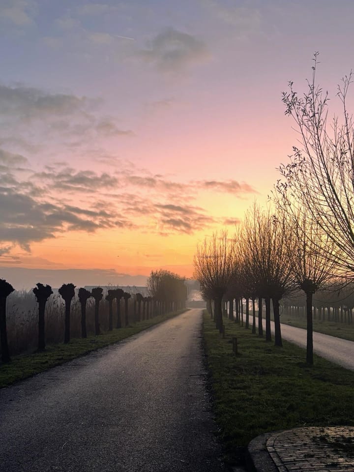 Foto 44 van Wuyvenhaerd 50