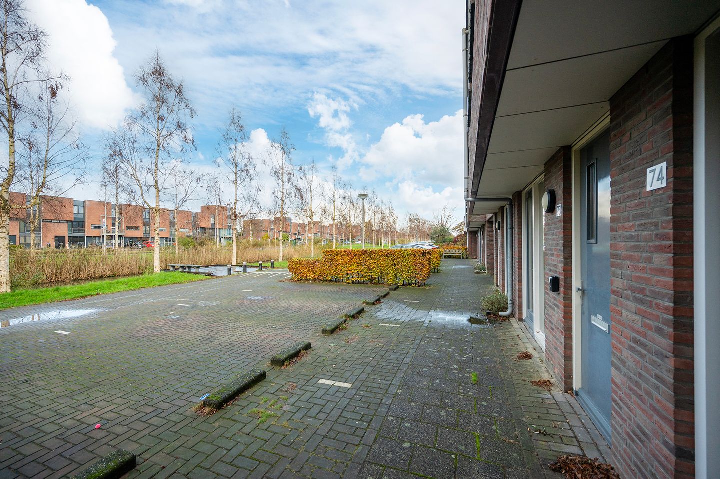 Foto 25 van Paardenbloemsingel 74