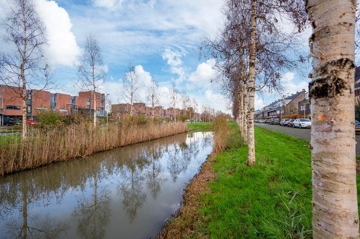 Foto 33 van Paardenbloemsingel 74