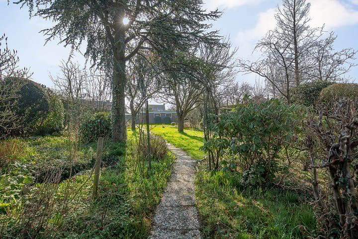 Foto 61 van Lewestraat 31