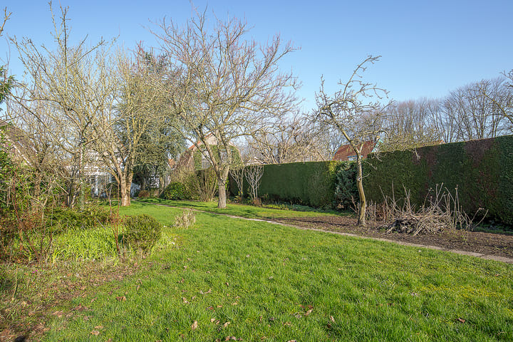 Foto 65 van Lewestraat 31