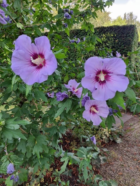 Foto 51 van Kampweg 92