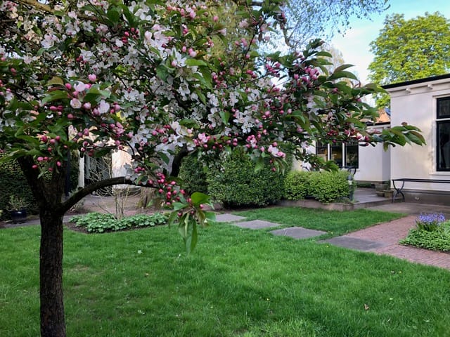 Foto 56 van Kampweg 92