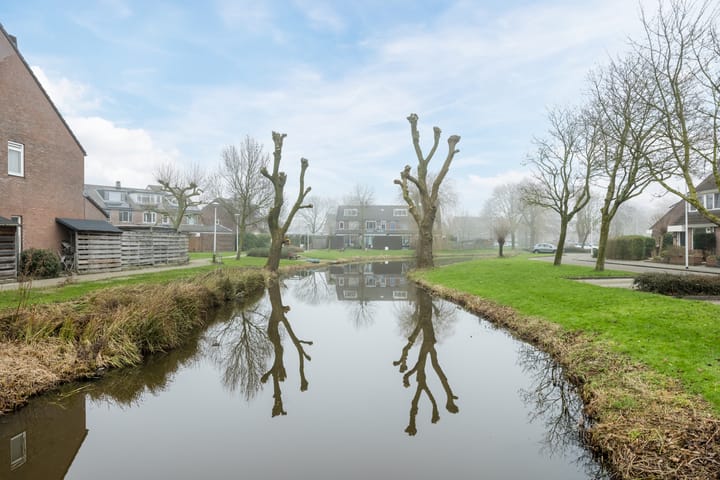 Foto 47 van Ekster 19