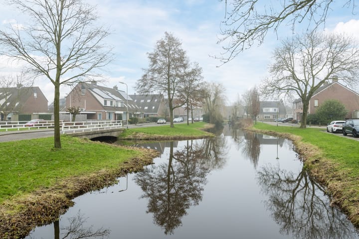 Foto 48 van Ekster 19