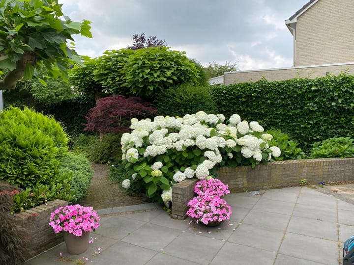 Foto 24 van Rossinistraat 10