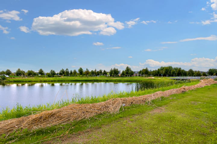 Foto 28 van Lokistraat 40