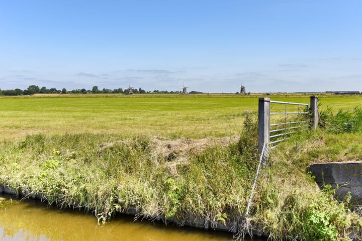 Foto 40 van Pijlkruidveld 45