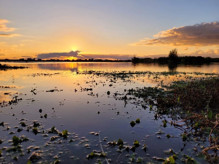 Foto 42 van Pijlkruidveld 45