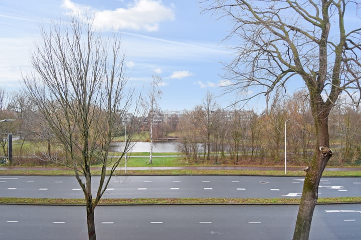 Foto 15 van Segbroeklaan 462