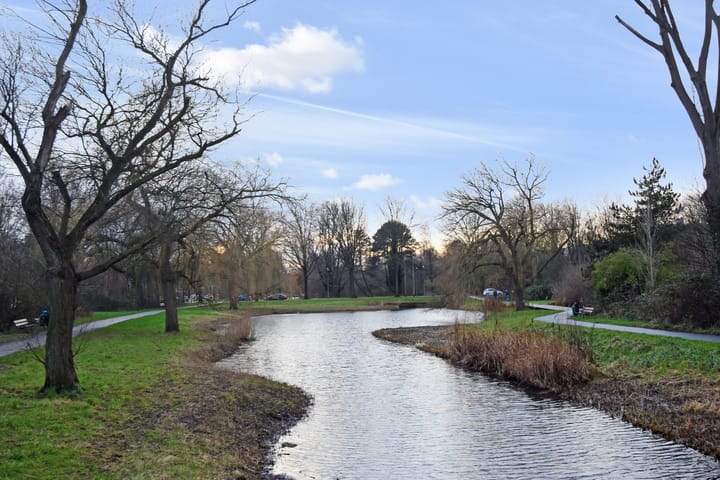 Foto 23 van Segbroeklaan 462