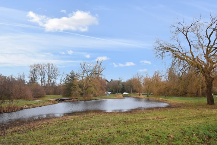 Foto 29 van Segbroeklaan 462