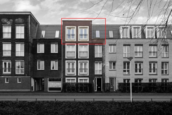 Foto 4 van Coelhorst 46