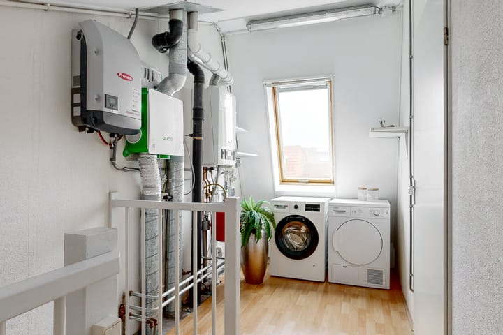 Foto 23 van Helmkruid 20